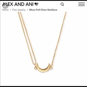 Alex and Ani moon pull chain necklace